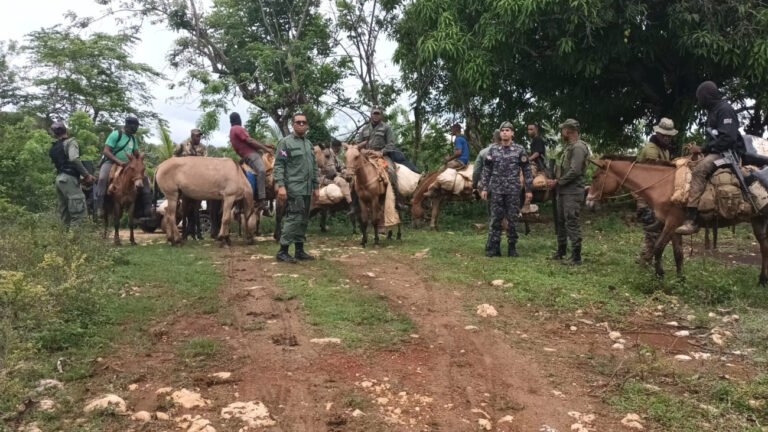 Arrestan 439 personas que depredaban el parque nacional Los Haitises